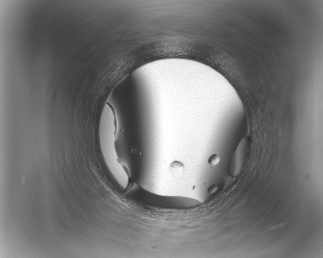 X0000057060021200510010119