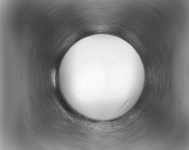 X0000057060024200510010119