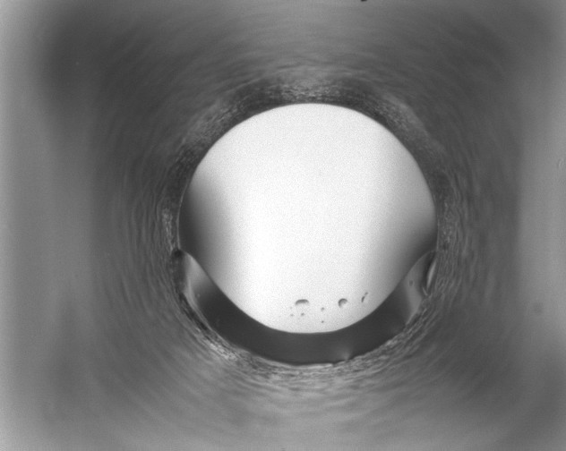 X0000057060025200510010119