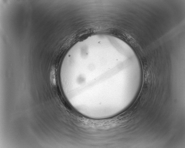 X0000057060026200510010119