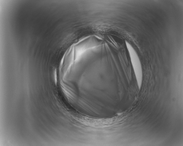 X0000057060027200510010119