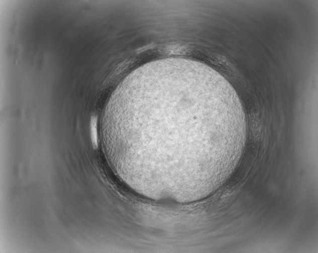 X0000057060028200510010119