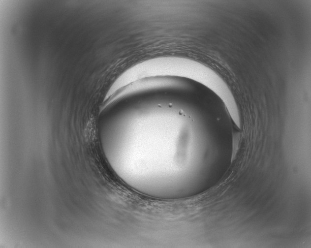 X0000057060029200510010119