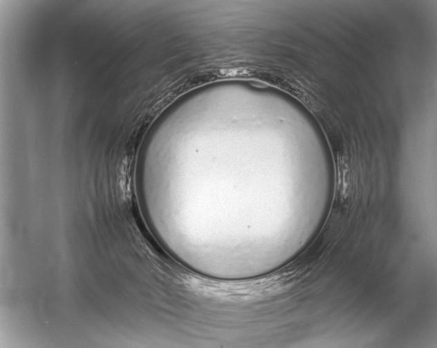 X0000057060030200510010119