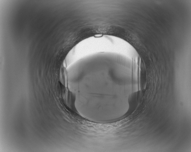 X0000057060031200510010119