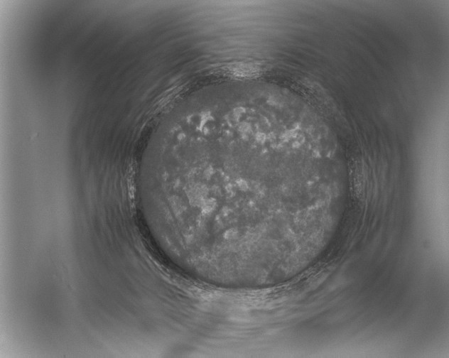 X0000057060032200510010119