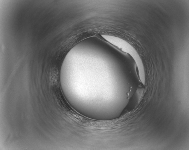 X0000057060033200510010119