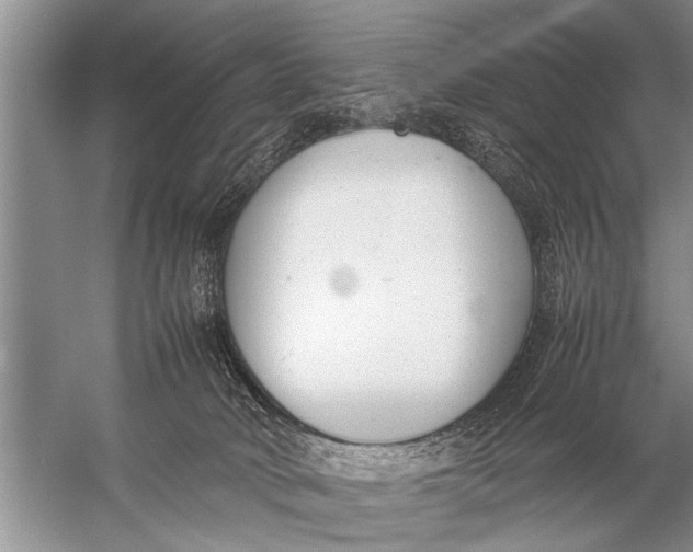 X0000057060034200510010119