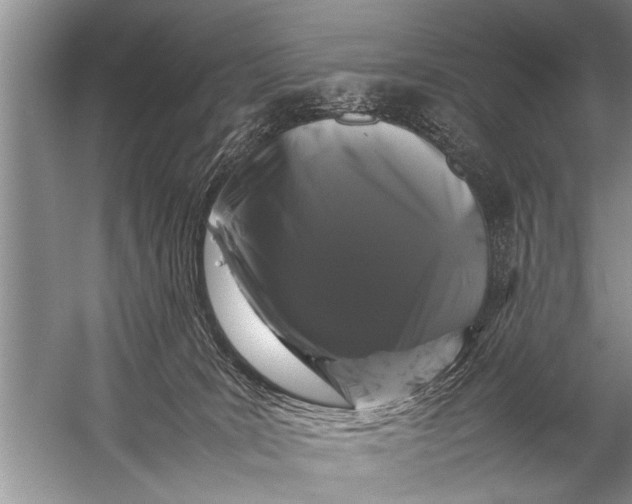 X0000057060035200510010119