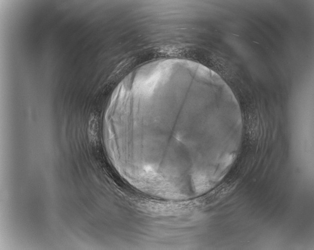 X0000057060036200510010119