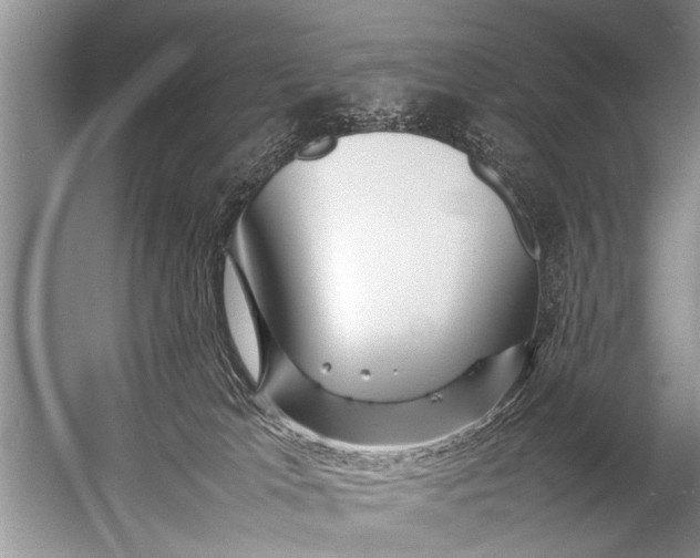 X0000057060037200510010119