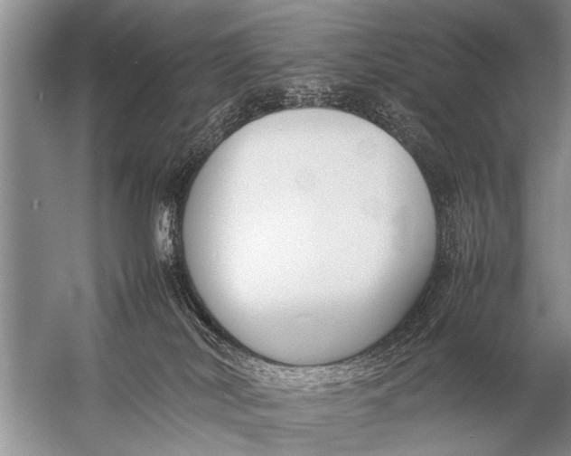 X0000057060038200510010119