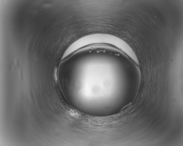 X0000057060041200510010119