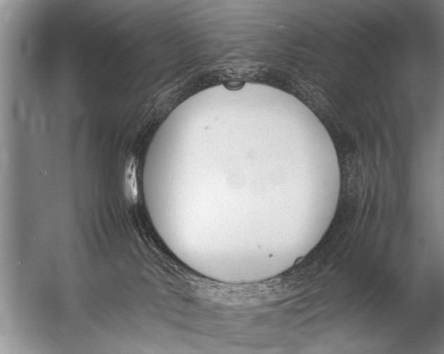 X0000057060042200510010119