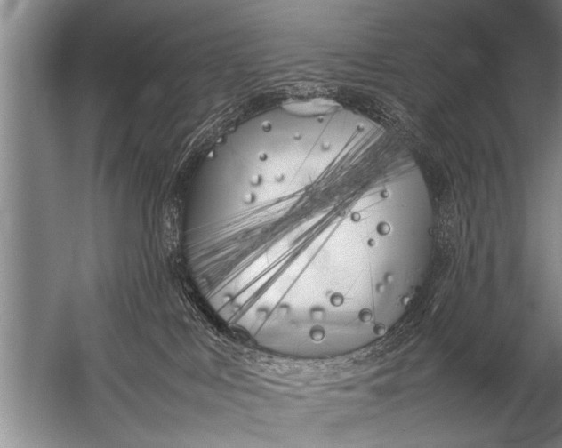 X0000057060043200510010119