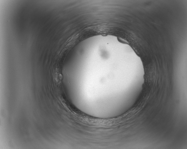 X0000057060044200510010119