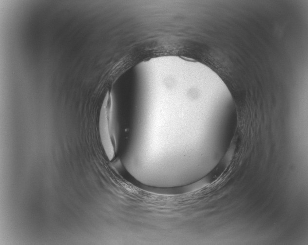 X0000057060045200510010119