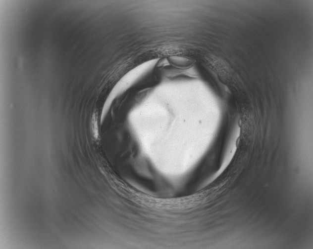 X0000057060046200510010119