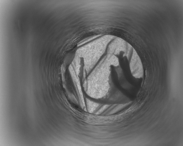 X0000057060048200510010119