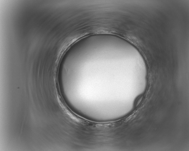 X0000057060049200510010118