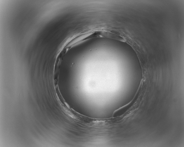 X0000057060052200510010118