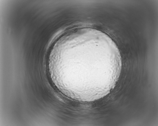 X0000057060053200510010118