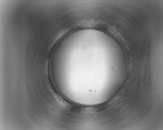 X0000057060058200510010118