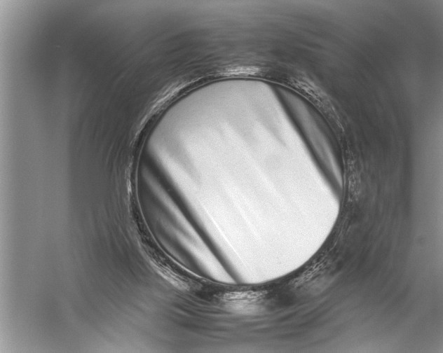 X0000057060059200510010118