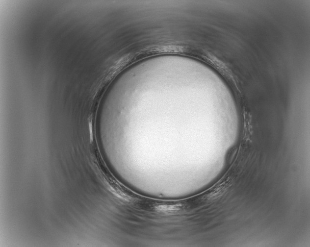 X0000057060061200510010118