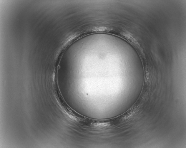 X0000057060063200510010118