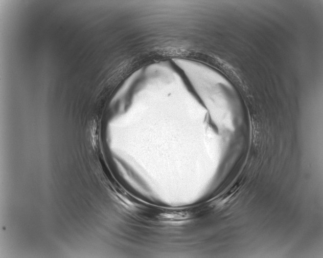 X0000057060069200510010118