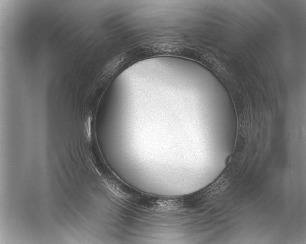 X0000057060070200510010118