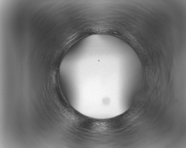 X0000057060071200510010118