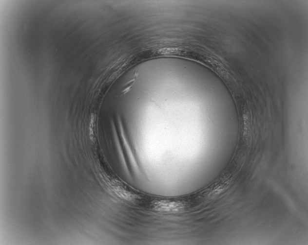 X0000057060073200510010118