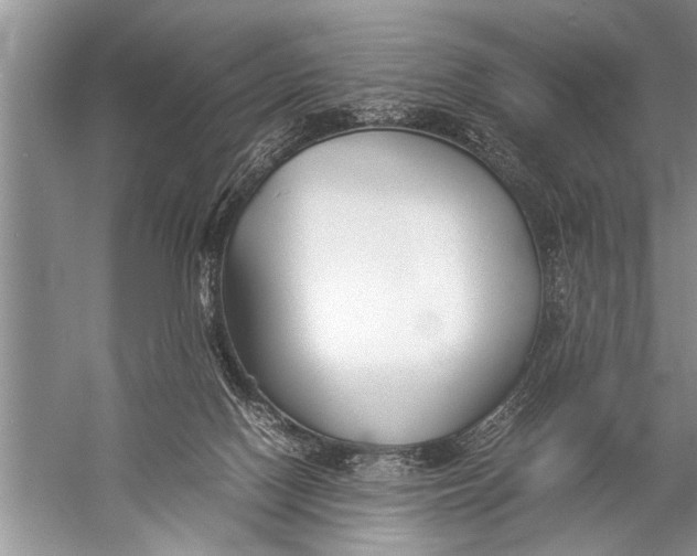 X0000057060074200510010118