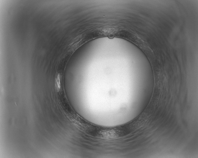 X0000057060075200510010118