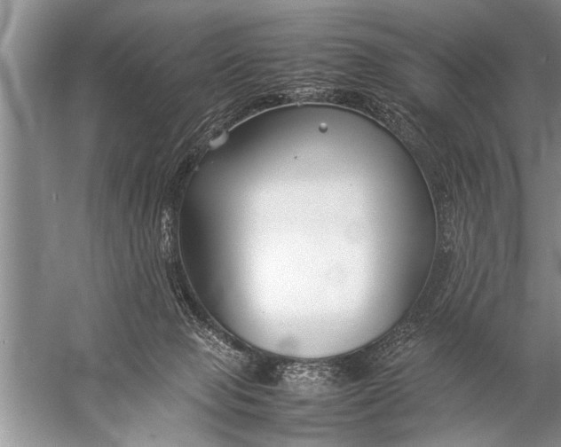 X0000057060077200510010118