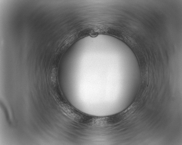 X0000057060078200510010118