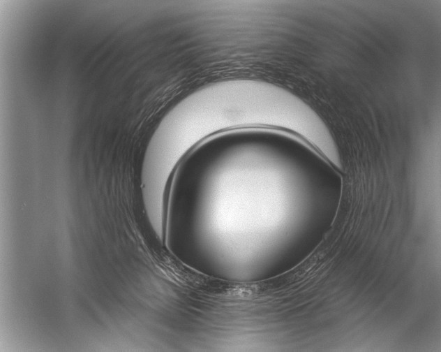 X0000057060080200510010118