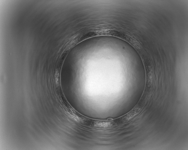 X0000057060081200510010118