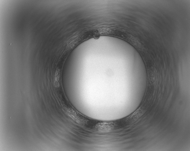 X0000057060082200510010118