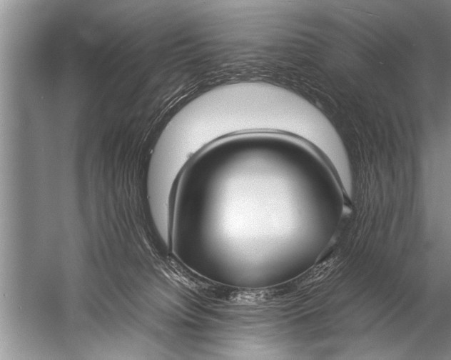 X0000057060084200510010118