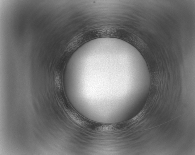 X0000057060086200510010118