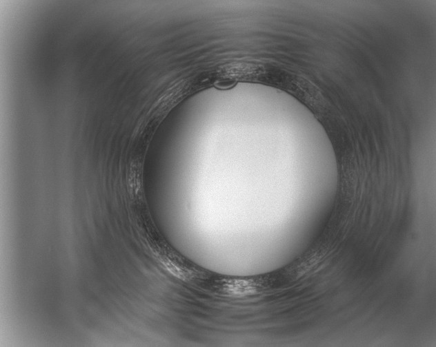 X0000057060091200510010119