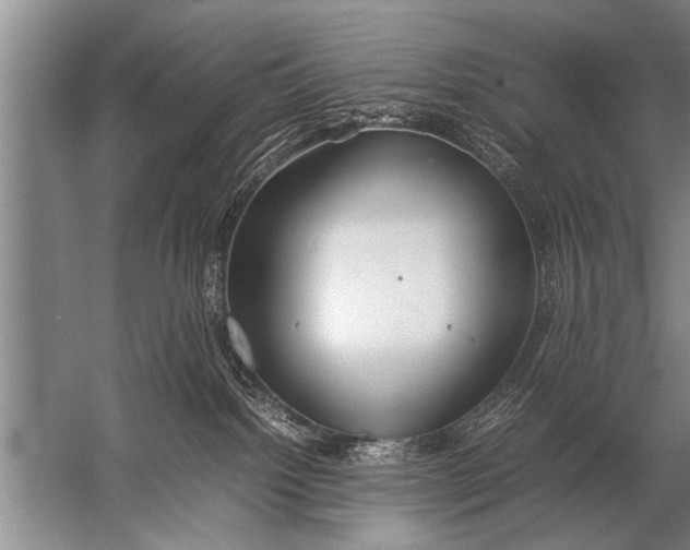 X0000057060092200510010119