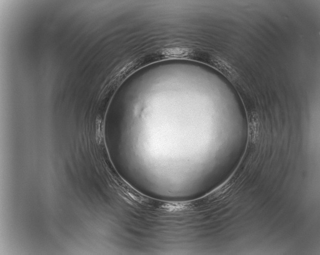 X0000057060093200510010119