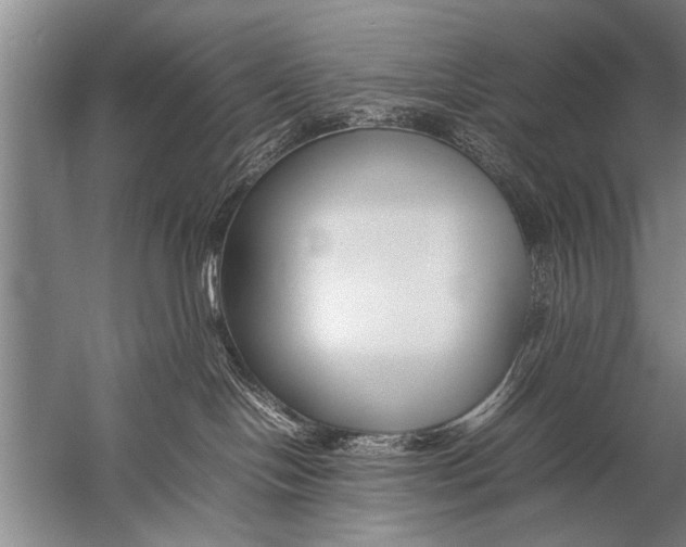 X0000057060094200510010119