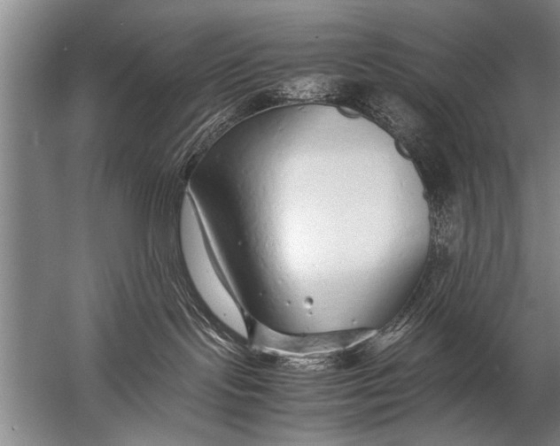 X0000057060095200510010119