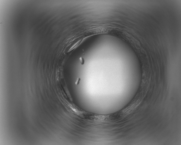 X0000057060096200510010119