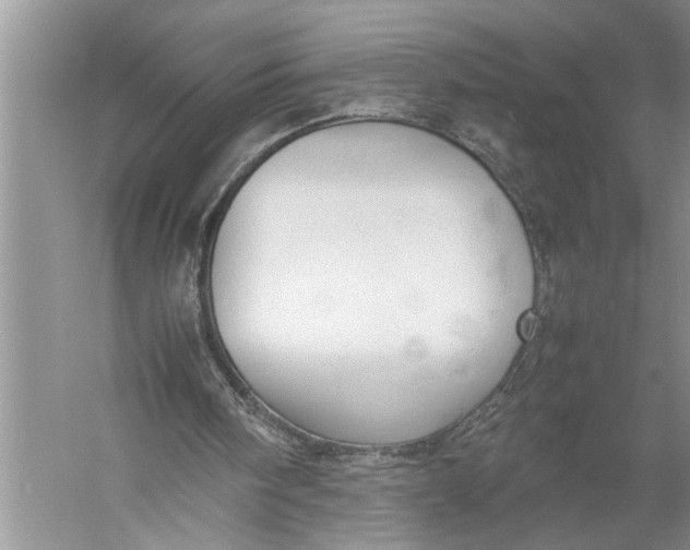 X0000057060098200510010118